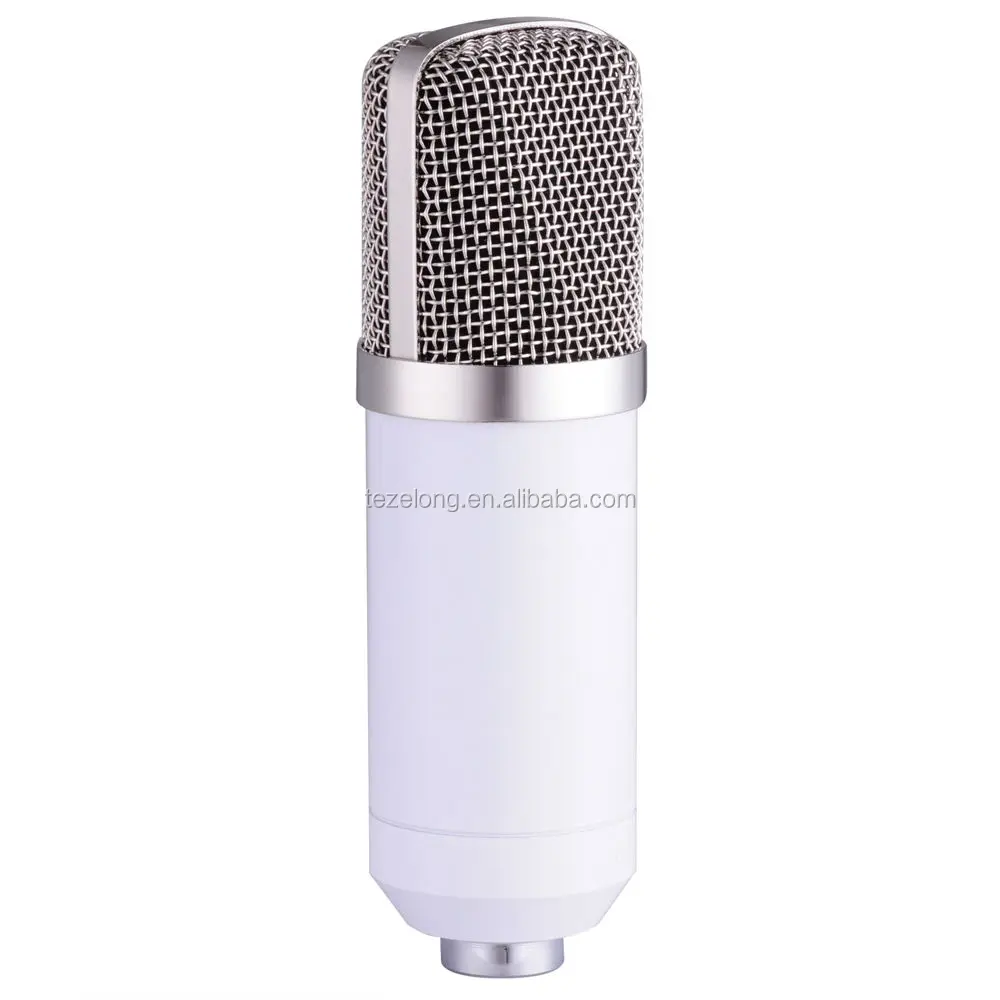 BM800-Recording-Dynamic-Condenser-Microphone-with-Shock(2).jpg