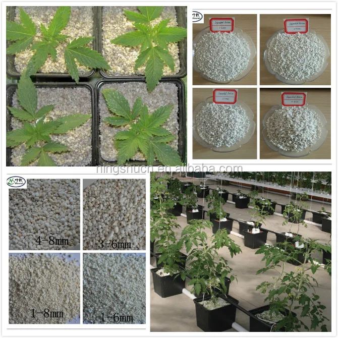 Quart Bag of Large Horticultural Grade Perlite Organic Soil Compost hydroponics Grow Media for Bonsai