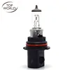 Hot New Products Automobile Industry Auto Head Car Halogen Lamp Bulb