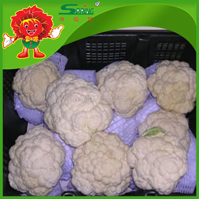 chinese cauliflower price high quality cauliflower florets for