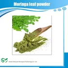 High quality pure natural Moringa leaf powder