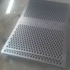 Filter Mesh Perforated Metal/Punched Hole Metal Sheet