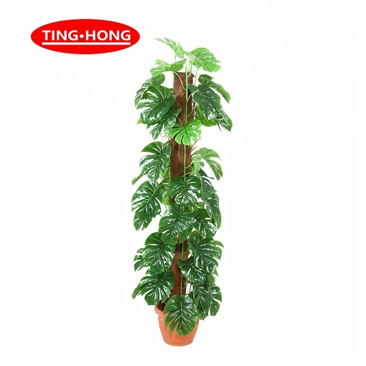 Decorative indoor / outdoor plastic plant artificial turtle monsteras leaves bonsai tree indoor plant, Dark green
Decorative indoor / outdoor plastic plant artificial turtle monsteras leaves bonsai tree indoor plant, Dark green