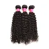 Free Sample Cuticle Aligned 100% Indian Afro Kinky Curly Bulk Virgin Human Hair Extensions Wholesale Weave Hair Weft