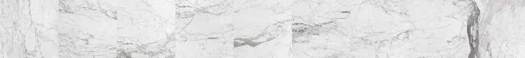 .jpg