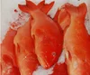 Hot sale frozen red grouper fish