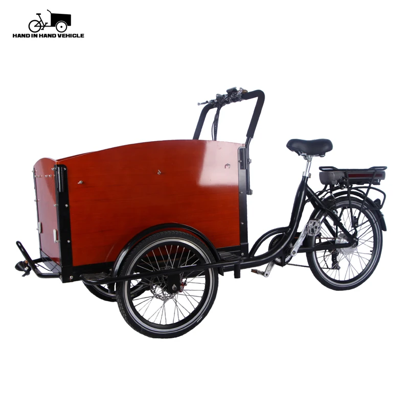 2019 sıcak satış elektrikli üç tekerlekli bisiklet yetişkinler üç tekerlekli bisiklet 3 tekerlekli elektrikli kargo bisikleti satılık