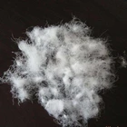 Pure white 80% goose down 20% white goose feather import from China