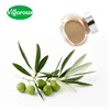 100% natrual Olea europaea extrait/Kosher olive leaf extract 50% Oleuropein/olive leaf powder extract