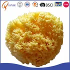 Top quality Natural mesh sea sponges Honeycomb face sponge bath sponge