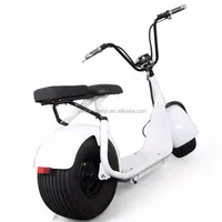 Harley Electric Scooter Cool 1000w 2