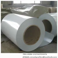 Shandong Ppgi Prepainted Galvanized Steel Coil