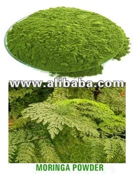 Pó De Folhas De Moringa - Buy Product on Alibaba.com Pó De Folhas De Moringa - Buy Product on Alibaba.com