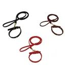 Top seller fashion dog collar and leash OEM China supplier
