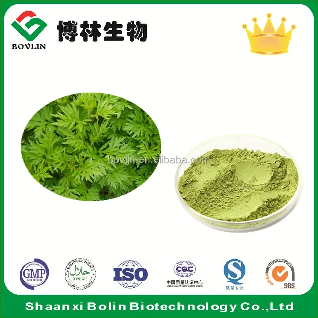 factory supply sweet wormwood leaf powder