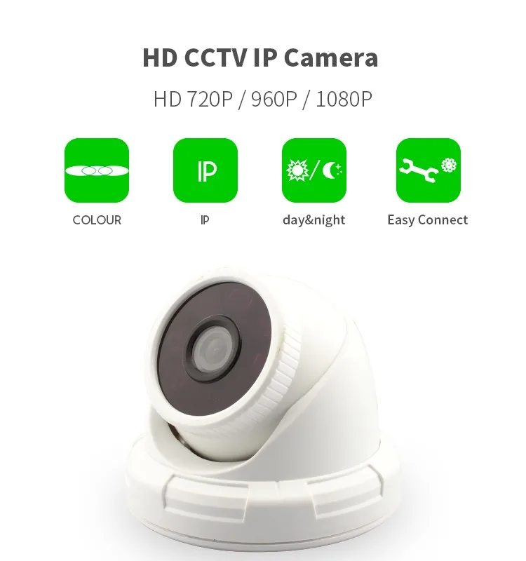 IPD307 dome ip camera