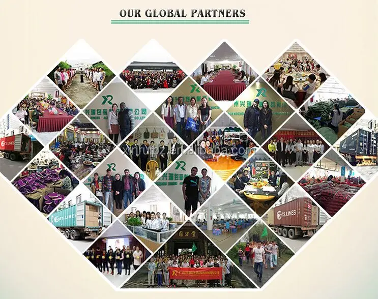 global partner.jpg