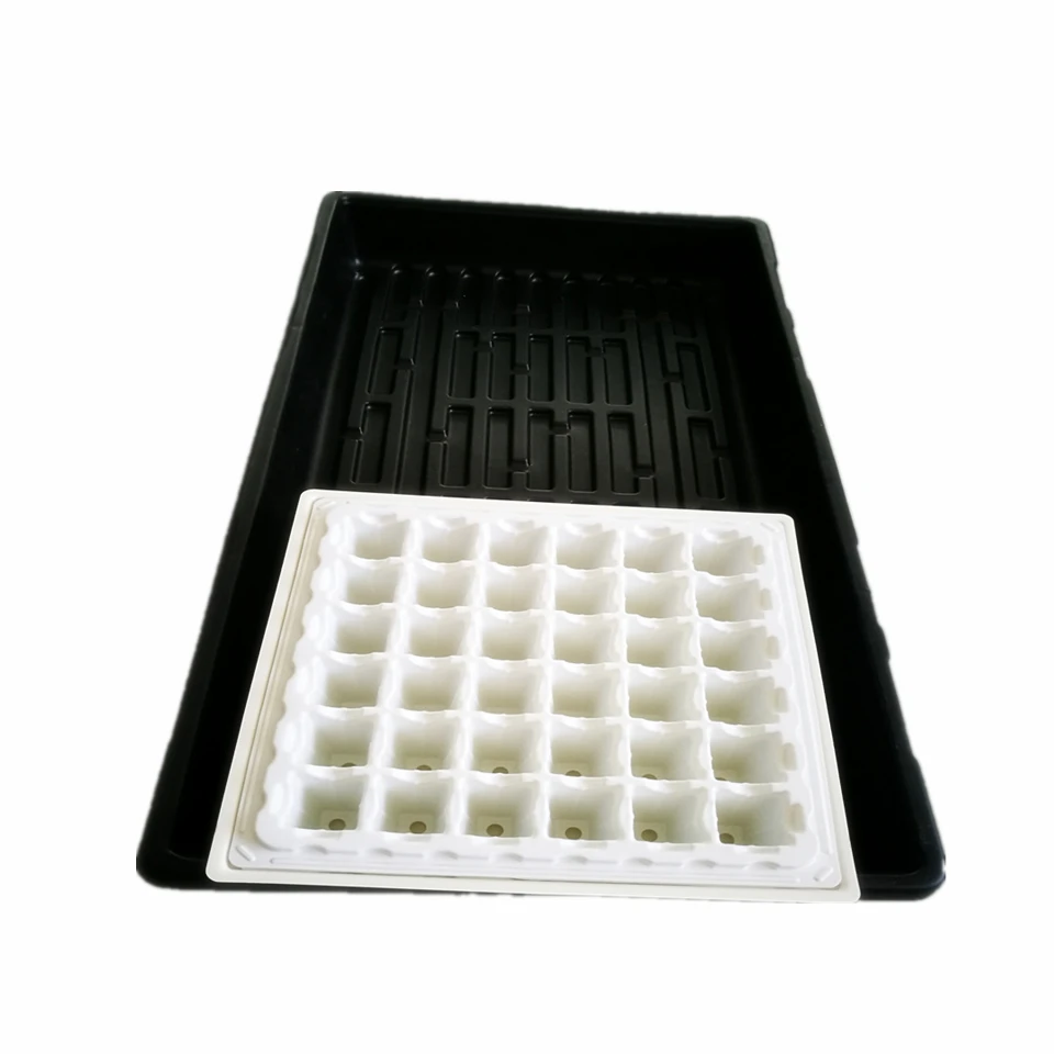 Swellder OEM vegetable large size plastic plant hydroponic water tray/plastic nursery, Black/white or customize
Swellder OEM vegetable large size plastic plant hydroponic water tray/plastic nursery, Black/white or customize