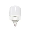 Aluminum Casting Light Bulb LED 60W 80W 100W LED Light E40 LED Bulb