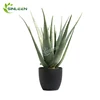 /product-detail/gardening-plastic-ornamental-pot-faux-aloe-mini-artificial-succulent-plant-60832054558.html