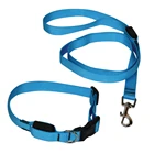 Blue Classic Outdoor Nylon Dog Collar And Leash Set