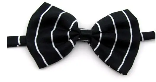 36020170425190556428