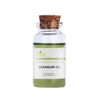 Factory Supply Pure Rose Geranium Essential Oil