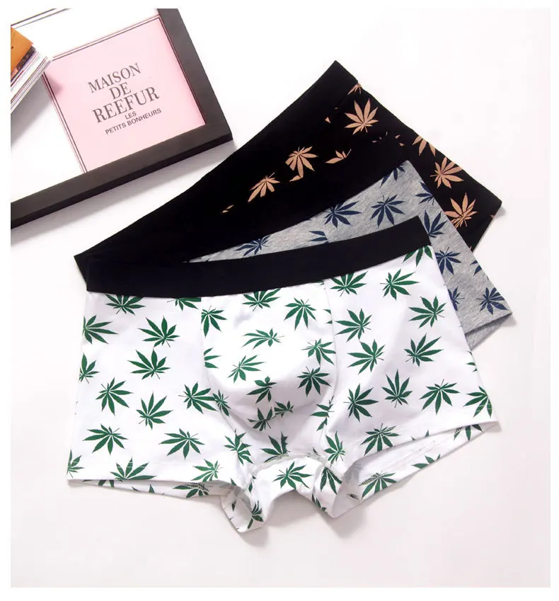 5284268114_686008313