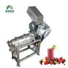Automatic 2018 NEW juicer making machine/pineapple juicer extractor/watermelon juicer