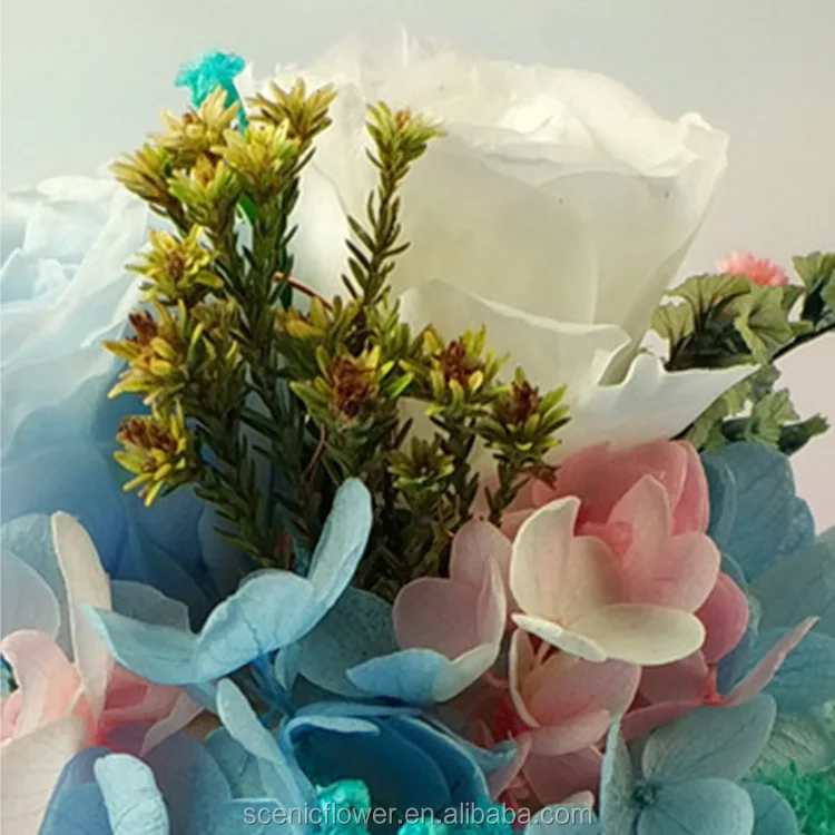 unique valentines gifts preserved rose flower in glass dome with