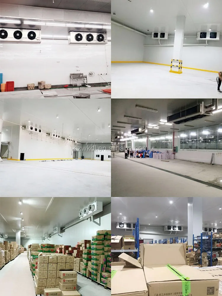 Quick Freezing Air Cooler, Ceiling, 10-200kw, R22 - detail 16