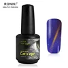 New design professional private label color change cat eye gel 15ml colorful nail gel polish