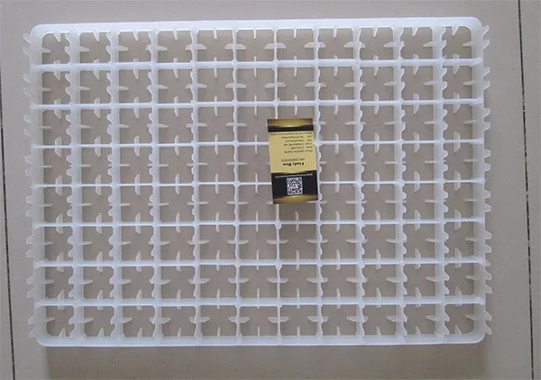 88 chicken eggs tray
