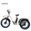 /product-detail/queene-24-inch-green-power-fat-tyre-48v500w-3-wheels-electric-bike-tricycle-for-adult-60841915889.html