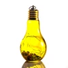 Hot-sale colorful the light bulb glass bottle for home decoration