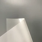 Customizable clear prismatic transparent flexible acrylic PC sheet light diffuser film