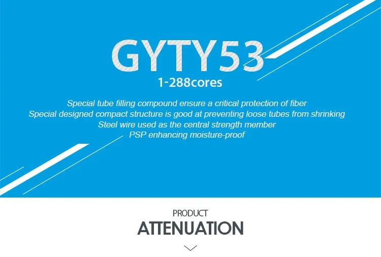 GYTY53-1