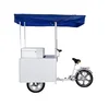 /product-detail/dc12-24v-solar-ice-cream-freezer-tricycle-sct-108-62045009085.html