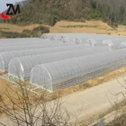 The agricultural commercial popular agriculture poly tunnel greenhouse for sale