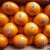 2018 Seasonal China Sweet Fresh Mandarin Orange/Tangerine