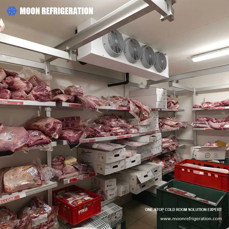 MOON good quality cold room freezer price and chiller room