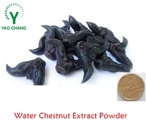 free sample waterchestnut powder/water caltrop extract/water