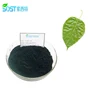 Health Care Products Water Soluble Natural Bulk Chlorophyll Powder
