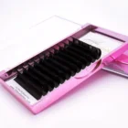 eyelashes extension certificate latex and formaldehyde free eyelash glue pre made volume eye lash extens d curl mix