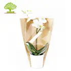 Heat Seal Kraft Paper Pouch Packaging Bag Without Handles 100Pcs