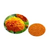 Wan shou ju GMP Supply Best Price marigold flower extract powder for chickens