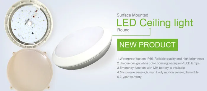 mounted ceiling light ip65