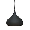 Simple Style Black Metal Home Decor Pendant Lamp Pendant Light