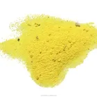 Chicken Flavor Seasoning Powder/Chicken Essence Powder for Soup