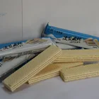 light salt wafer biscuit manufacturer